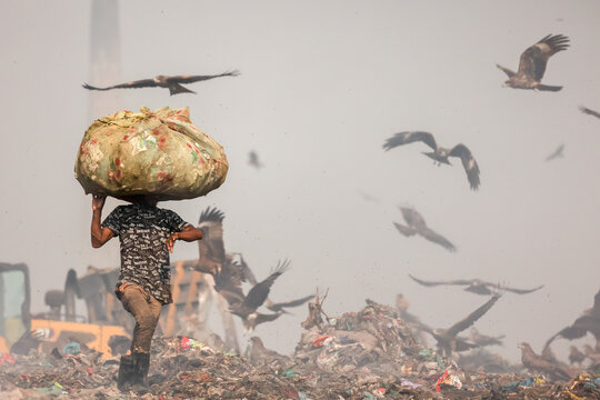 Aminbazar, Bangladesh - 21 February 2026: View of a worker carrying a large sack of waste on his head amidst a swarm of scavenging birds at the Aminbazar landfill.