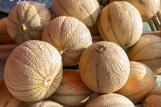 Cantaloupe Melonen, Marktstand, Marktverkauf, Pleubian, Bretagne