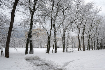 Fototapeta premium Winter Landscape of South Park in city of Sofia, Bulgaria