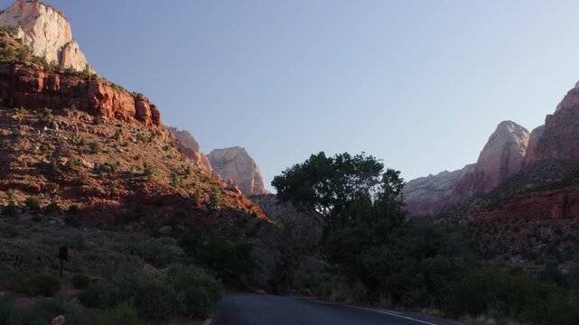 Dawn light on the rocky bluffs and windblown trees of Zion National Park in southern Utah