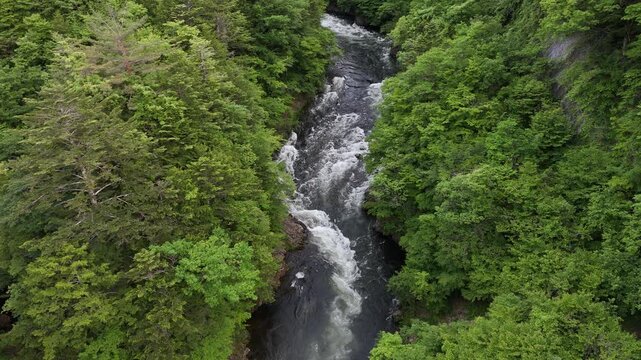 Aerial view of rushing river through dense green forest. Water rushes over rocks, creating white frothy waves. Surrounded by tall trees, the stream flows downward