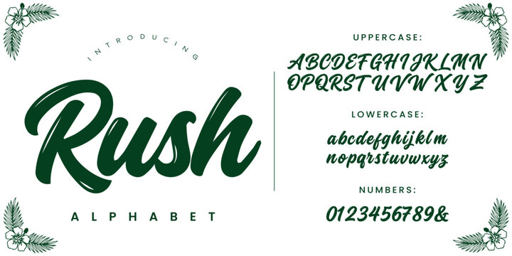 Rush Dynamic Brush Script Font Alphabet for Sporty Branding and Graphic Design