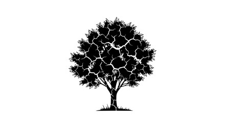 Cracked Tree Silhouette with Isolated White Background © coki
