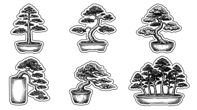 Collection of six different bonsai trees in pots, hand drawn illustration style