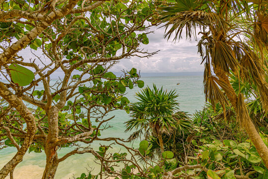 Scenic view of the turquoise ocean water naturally framed by green sea grape branches and palm trees on a cliff in Tulum.