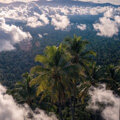 Fototapeta premium Lush Tropical Jungle Canopy Underneath Fluffy Clouds With Palm Trees in Foreground