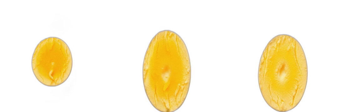 Isolated set of fresh organic raw juicy yellow mango fruit slices on white background, tropical sweet botanical ingredient collection for healthy summer food nutrition and dessert recipe concept