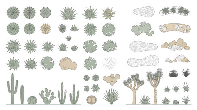 Landscape Design CAD Illustration of Diverse Botanical Garden with Trees and Shrubs
