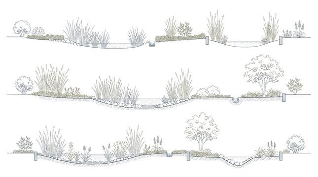 Detailed CAD concept drawing of sustainable landscape design with bio-swale and native planting features