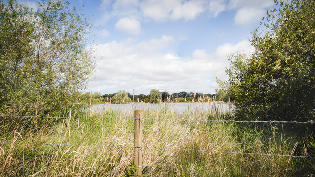 Tranquil Wetland Reflections at Arcot Pond in Cramlington&rsquo;s Nature Reserve Landscape, Northumberland, May 2026