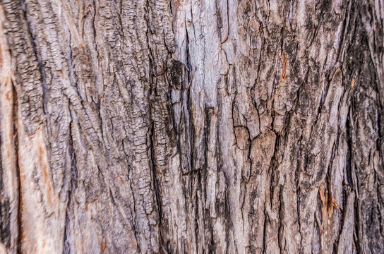 texture