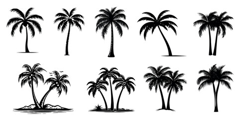 Obraz premium Silhouettes of tropical palm trees vector set