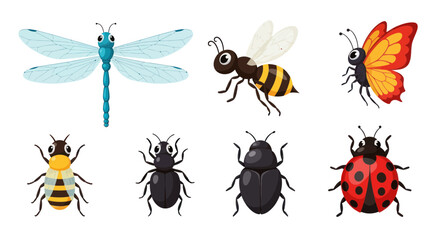 Insects bugs dragonfly bee butterfly ladybug. © mimis