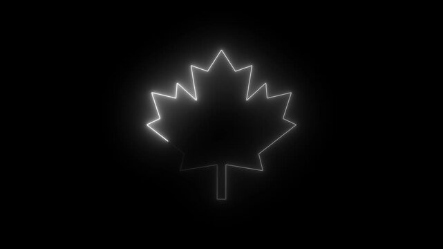 Glowing white neon maple leaf outline animation on black background, canada