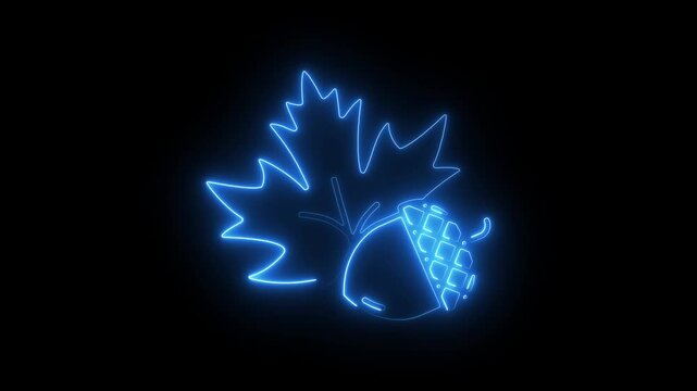 Glowing blue neon maple leaf and acorn animation on black background, for autumn seasonal, light