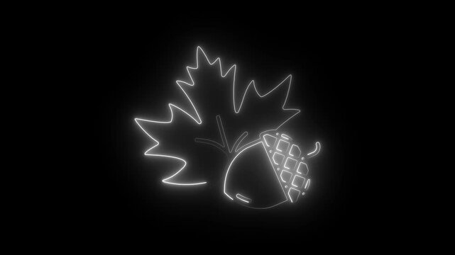Glowing neon acorn and maple leaf animation on black background, autumn