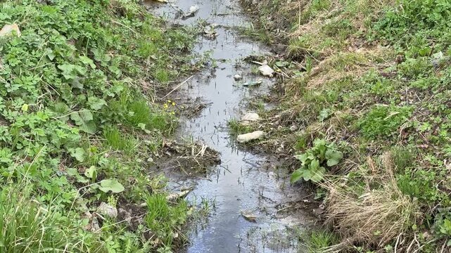 Spring drainage ditch littered with garbage and scattered plastic bottles along muddy trickle, dried leaves and fresh green shoots