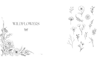 Fototapeta premium Wildflowers and Botanical Sketch Set with Text and Butterfly Illustration 