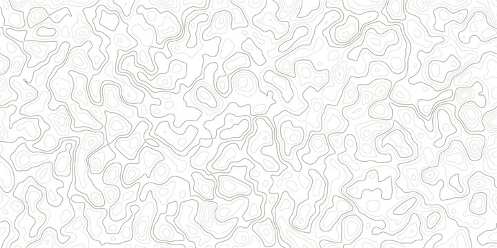 Gray topographic map lines on white background pattern design element