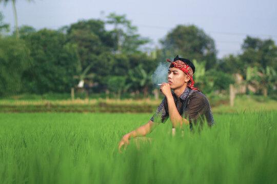 An Indonesian Asian man wearing a traditional batik shirt and udeng headpiece, relaxing while holding a cigarette in a lush green rice field under a clear blue sky.