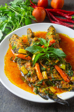 Woku ikan lele served in white plate, Woku is a typical Manado food from North Sulawesi province, Indonesia.
