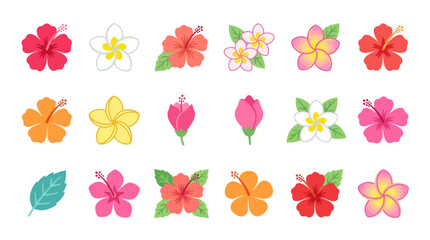 Collection of colorful tropical hibiscus and plumeria flower illustrations. © Satria
