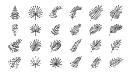 Grey silhouette set of botanical fern and palm leaves. © Satria