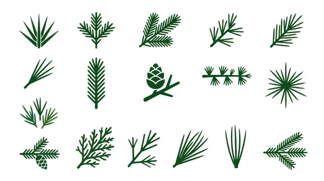 Pine needles fir branches and conifer cones set