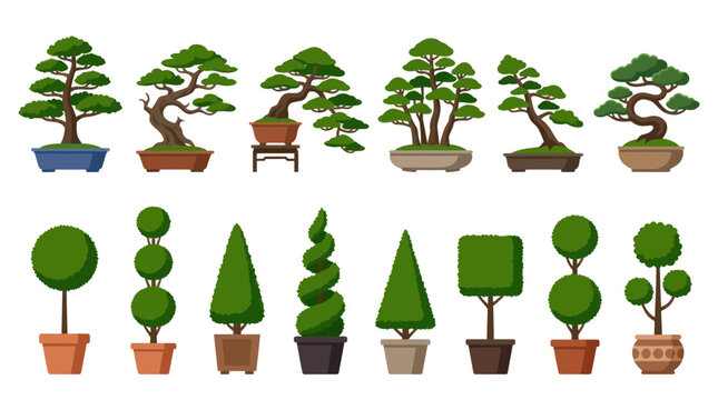 Potted bonsai trees and shaped garden topiary bushes set.