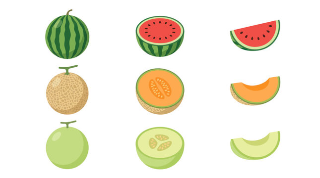 Watermelon cantaloupe and honeydew melon slices set.