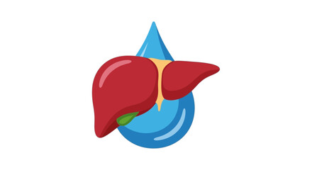 Fototapeta premium Human liver organ icon with water drop, health and hydration concept