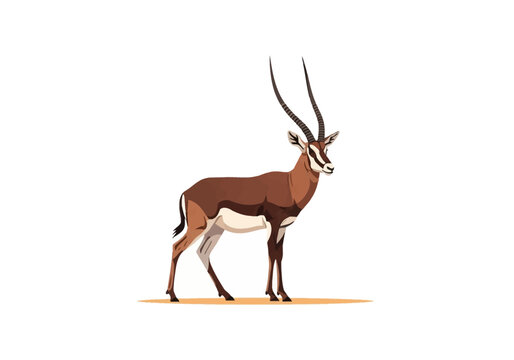 Detailed vector illustration of an African gazelle antelope with long spiraled horns and brown coat standing isolated on a white background, profile view of savanna wildlife animal.