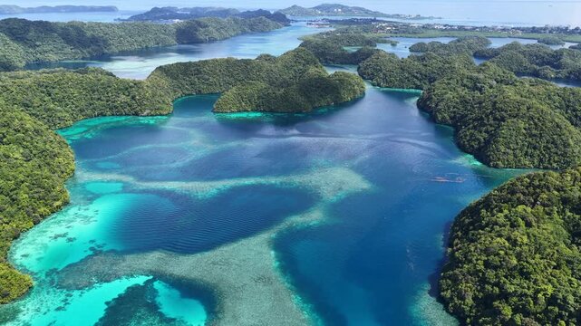 Palau's scenic Rock Islands are fringed by extraordinary coral reefs. This beautiful island-nation is a popular destination for scuba divers, snorkelers, kayakers, and World War II historians. 