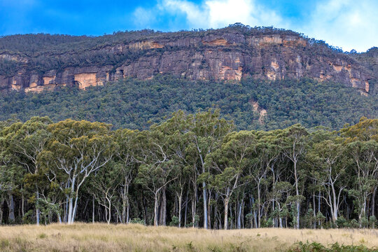Sandstone escarpment above the Megalong Valley, New South Wales Australia