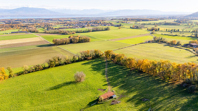 Aerial view of rolling green fields and autumn trees with a small farm building under a clear sky near the Jura mountains La Rippe, Vaud, Switzerland.