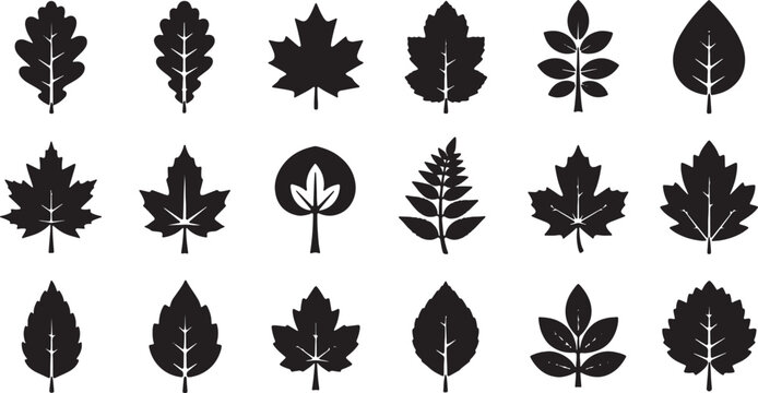 Collection of eighteen black tree leaf silhouettes on white background including maple, oak, birch, aspen, and rowan. Minimalist botanical vector icons for nature and autumn themes.