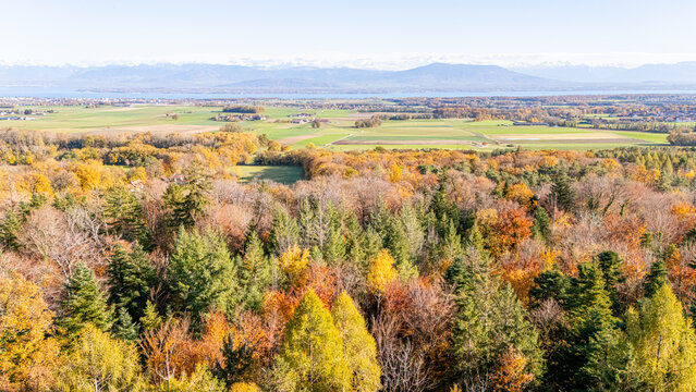 November Outside Outdoor November Images – Browse 624,165 Stock Photos, Vectors, and ...