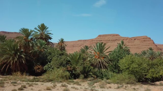 In Morocco's Ziz Valley, the river wadi winds through a remote desert landscape with date palms and surrounding Atlas Mountains under a sunny blue sky.