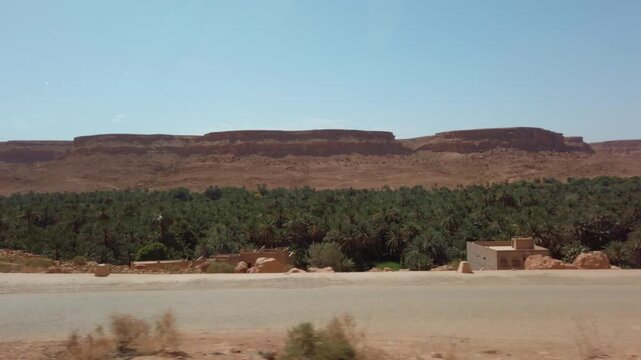 In Morocco's Ziz Valley, lush palm trees line the arid desert terrain along the Fleuve de Ziz, framed by cliffs and sandstone formations under a clear daytime sky.