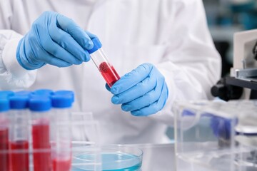 Fototapeta premium Scientist hands in blue gloves holding test tube with red virus model and liquid in modern laboratory, close-up of medical research and vaccine development.