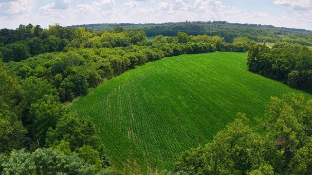 Aerial view of a serpent mound with surrounding nature.