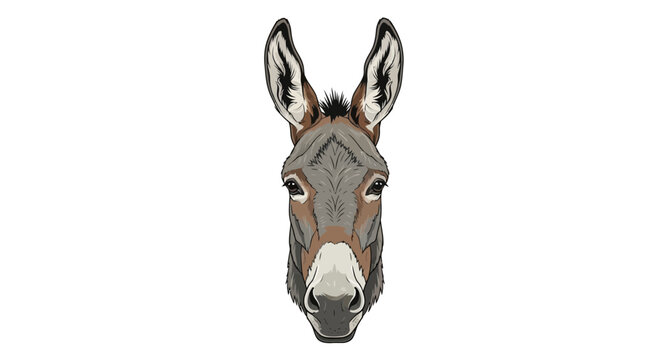 Donkey Head Portrait, Close Up, Farm Animal, Equine Face, Cute Ears, White Background
