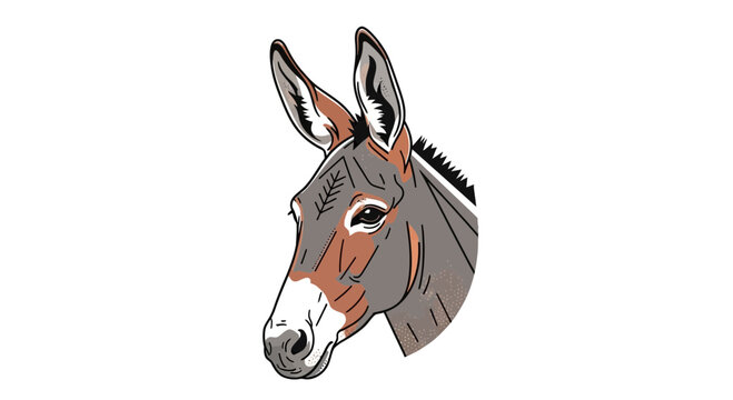 donkey head illustration