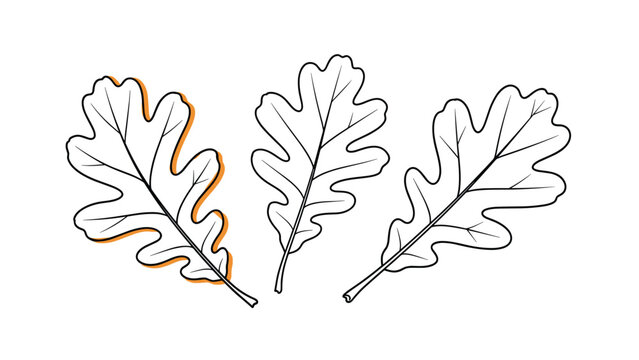 Three oak leaves with orange shadows and black outlines represent autumn foliage and nature for seasonal botanical illustrations.