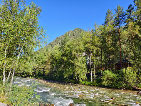Altai river Kuba in Chemal area of Altai Republic. Altai Mountains are visible in the background.