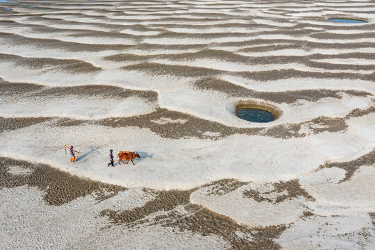 Aerial view of Jamuna River Char with people walking with a cow across a dry sandy riverbed featuring ripple patterns and pools in Tangail District, Dhaka Division, Bangladesh.