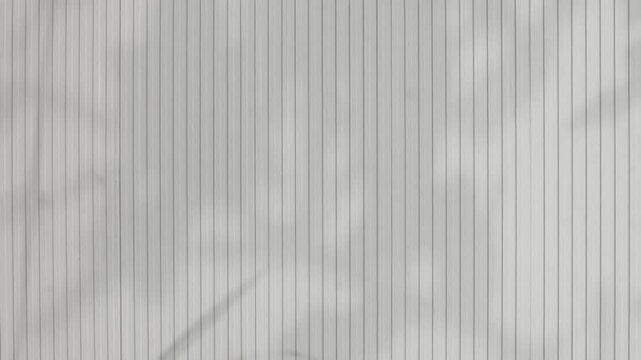 Shadow grey background wall light white overlay abstract plant 4k backdrop mockup minimal summer wallpaper, blur nature spring autumn orange video vintage light branching floral,card holidays.