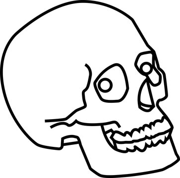 Funny Skull