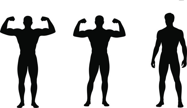 Bodybuilder silhouettes set muscular men posing fitness strong athlete black shapes isolated vector illustration
