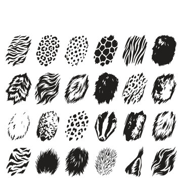 Animal print and fur texture pattern brush stroke collection with monochrome